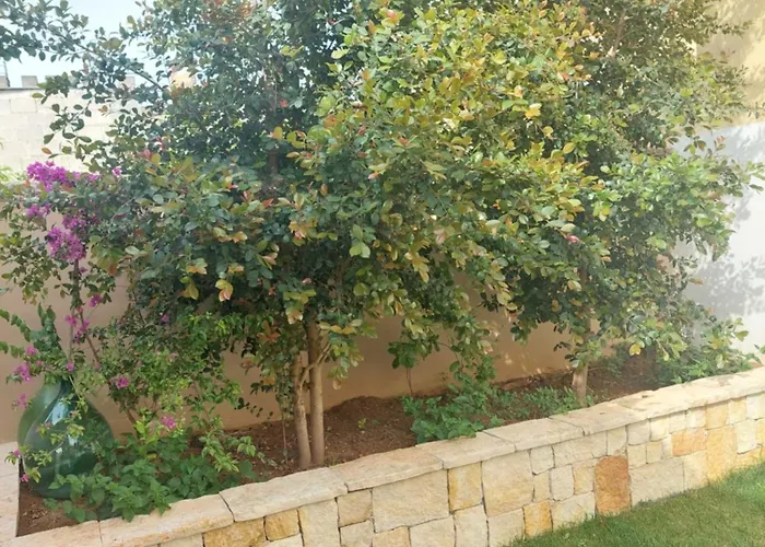 住宿加早餐酒店 