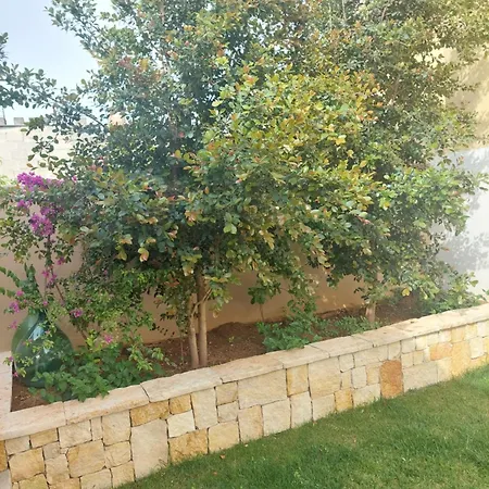 Alojamento de Acomodação e Pequeno-almoço 